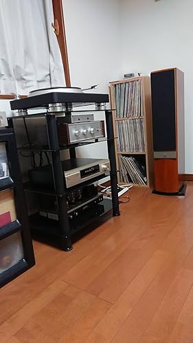 Amazon.co.jp: 桂光 4300B（WE300B系） 黒ベース マッチドペア（2本